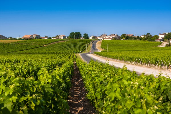 Chauffeur VTC pour réaliser la route des vins, Bordeaux, RAIS VTC