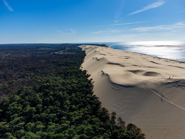 Chauffeur VTC pour explorer la Dune du Pilat, Bordeaux, RAIS VTC
