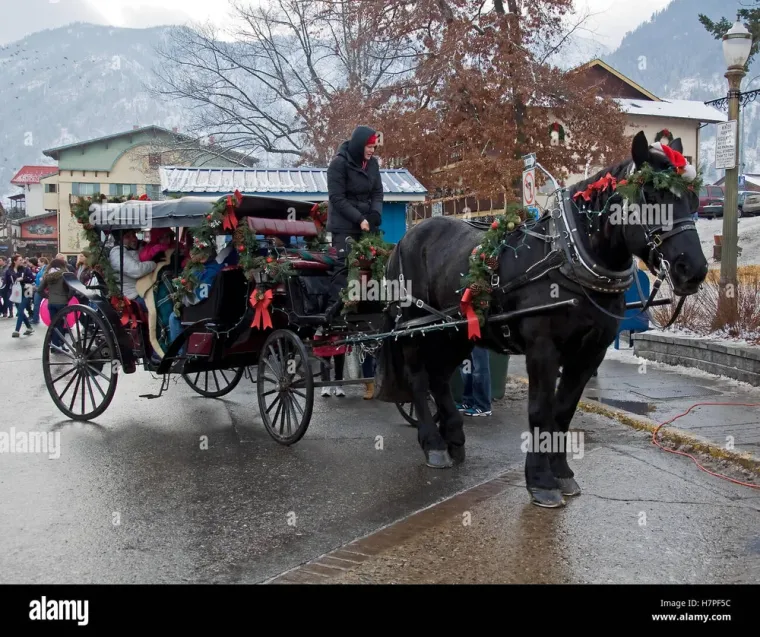 Chauffeur VTC pour les fêtes de fin d'année à Bordeaux, Bordeaux, RAIS VTC