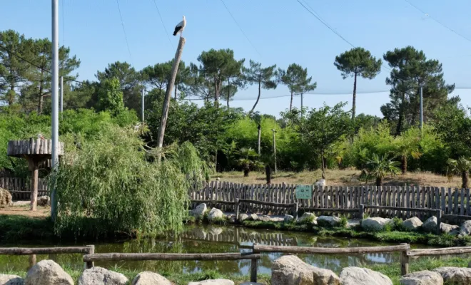 Zoo du Bassin d'Arcachon